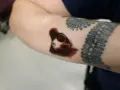 Świeża tatuażowa "second skin" na przedramieniu, z widocznym konturem głowy kota i innymi tatuażami.