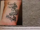 Tatuaż dla braci: wąż z koroną na głowie, symbol siły i zwycięstwa.