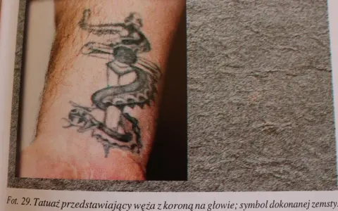 Tatuaż dla braci: wąż z koroną na głowie, symbol siły i zwycięstwa.