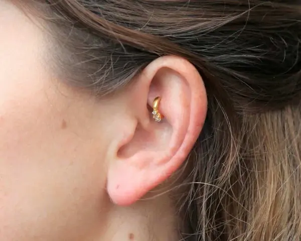 Złoty kolczyk w uchu, ozdobiony cyrkoniami, w trakcie gojenia. Rook piercing wygląda pięknie.