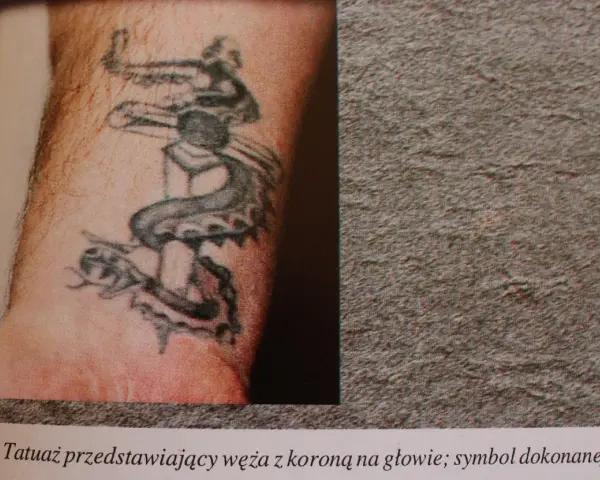 Tatuaż dla braci: wąż z koroną na głowie, symbol siły i zwycięstwa.
