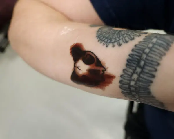 Świeża tatuażowa "second skin" na przedramieniu, z widocznym konturem głowy kota i innymi tatuażami.