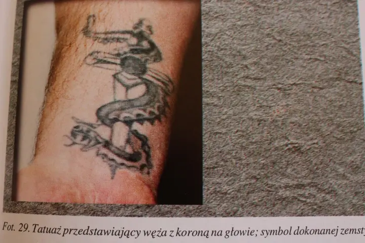 Tatuaż dla braci: wąż z koroną na głowie, symbol siły i zwycięstwa.