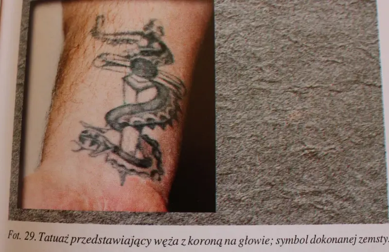 Tatuaż dla braci: wąż z koroną na głowie, symbol siły i zwycięstwa.